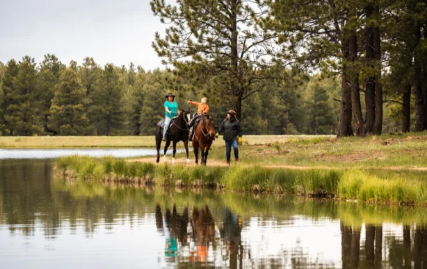 Horseback riding